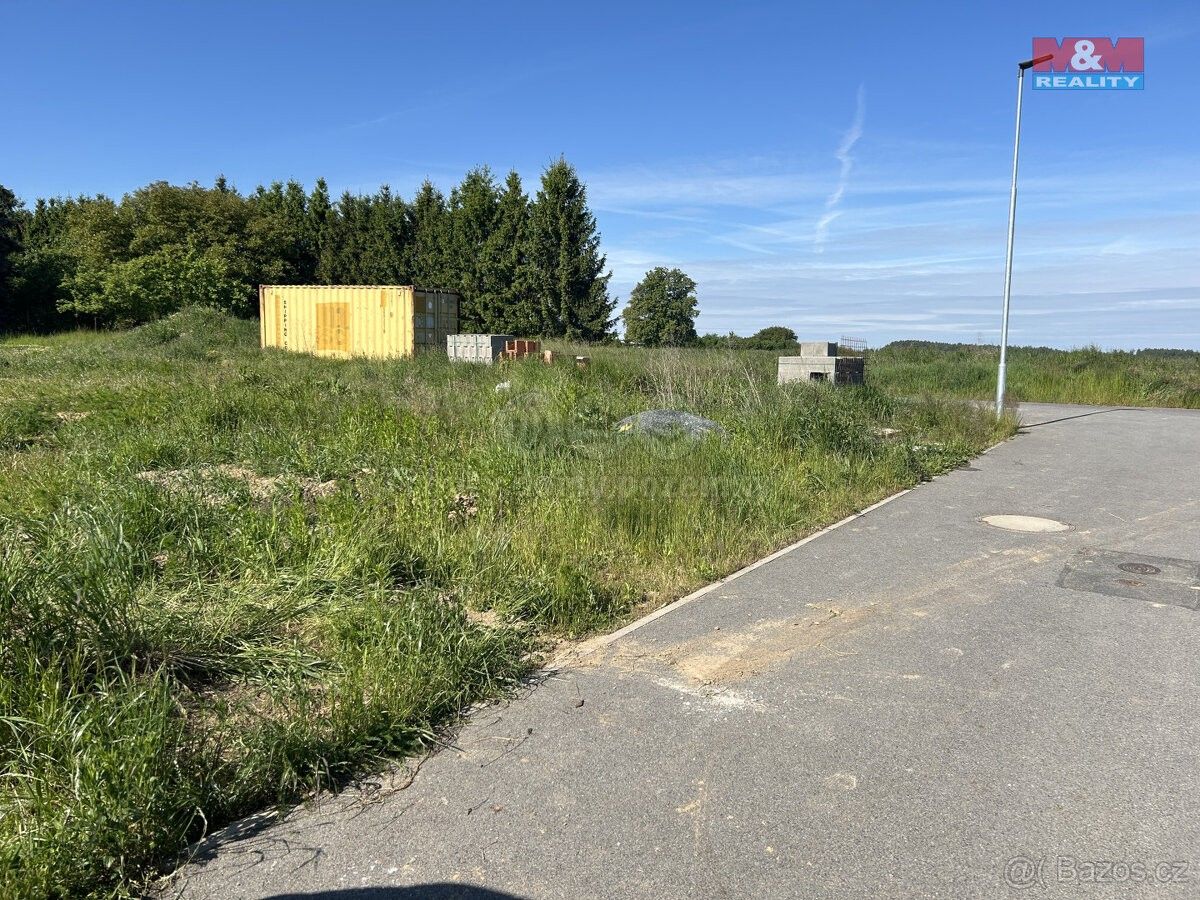 Lesy, Trhový Štěpánov, 257 63, 1 025 m²