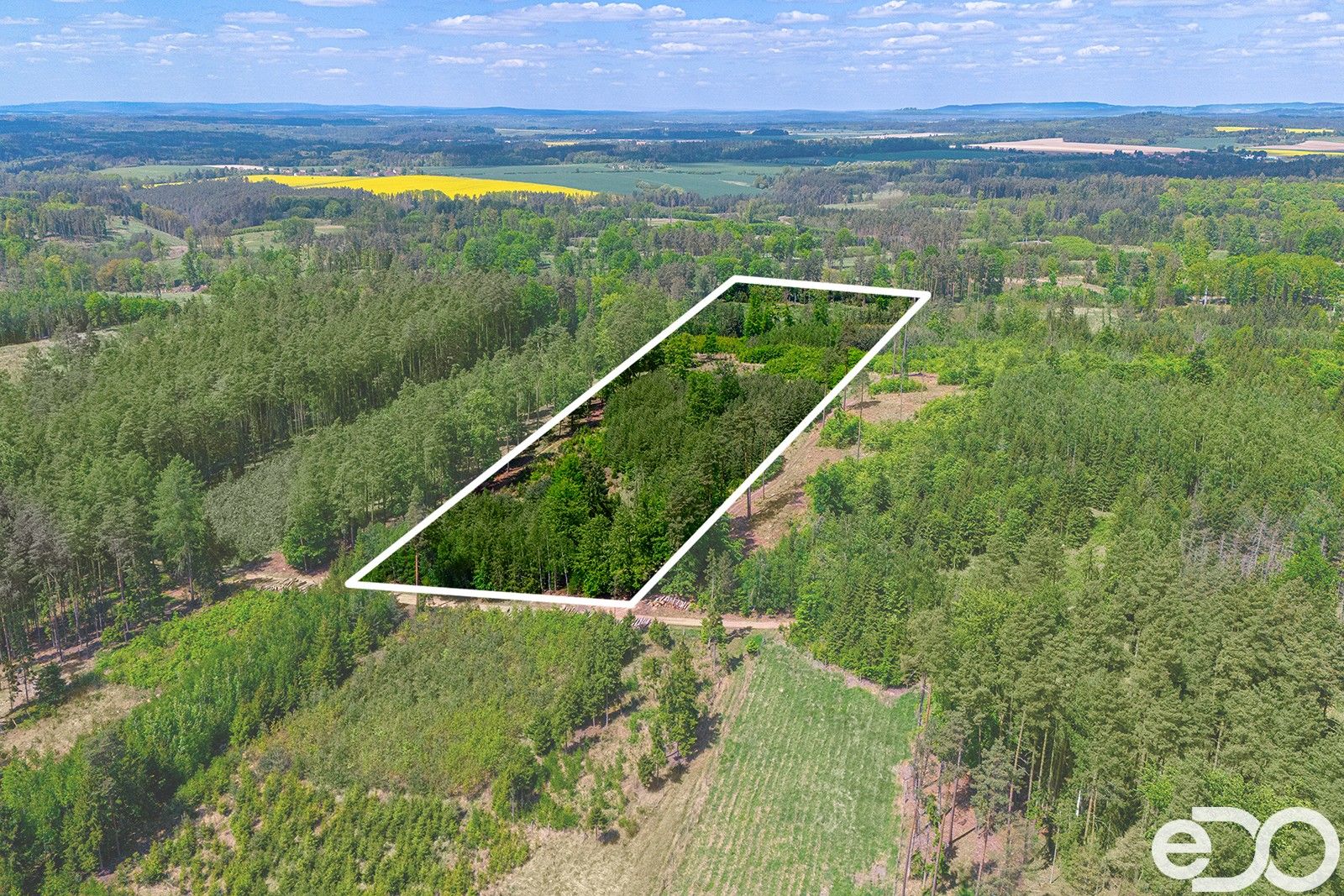 Lesy, Jetětice, 79 500 m²