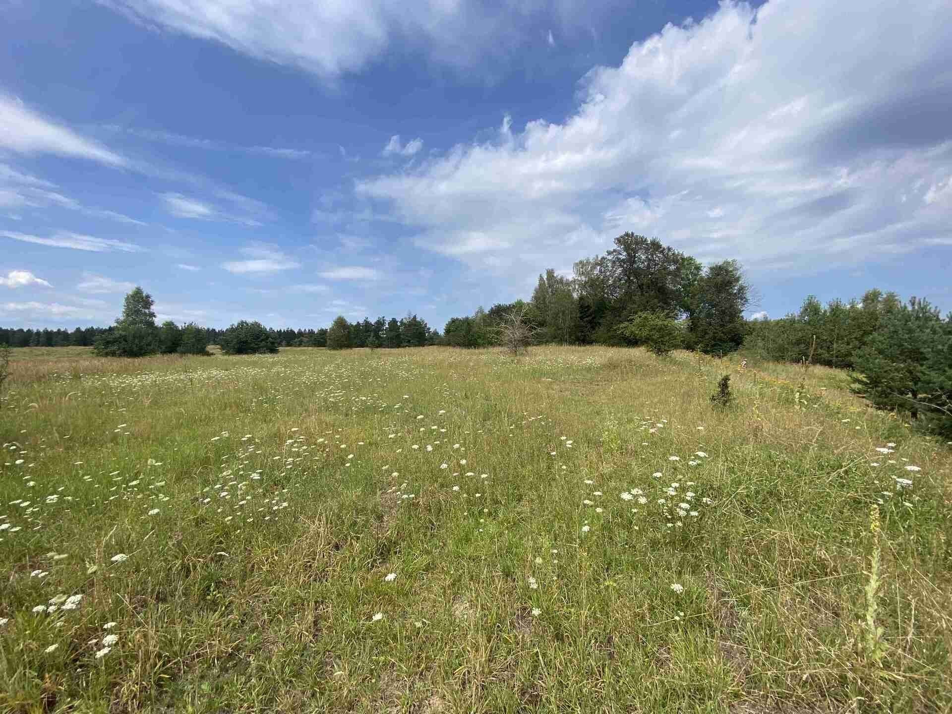 Ostatní, Nová Ves u Klikova, Rapšach, 6 986 m²