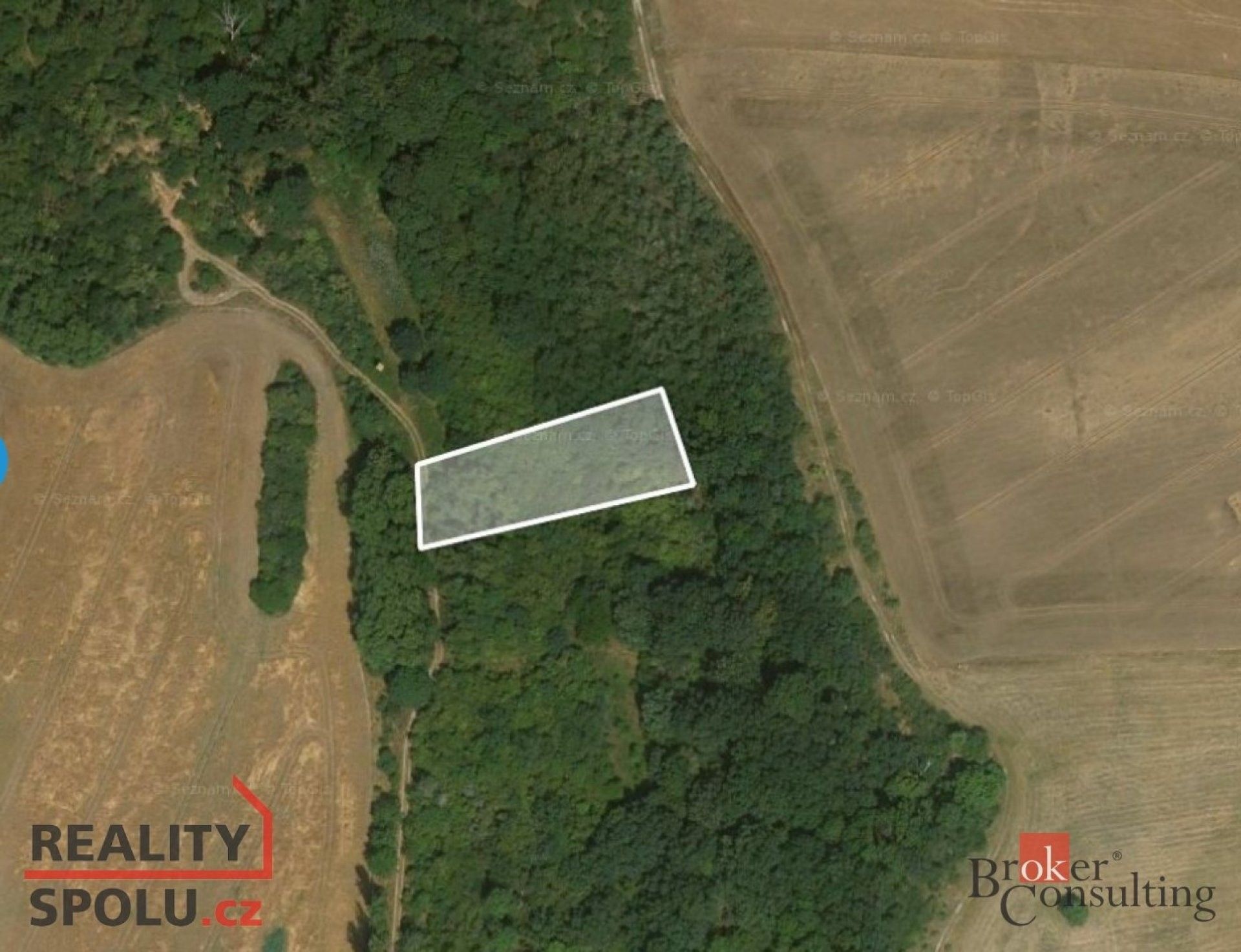 Ostatní, Tvršice, Staňkovice, 802 m²