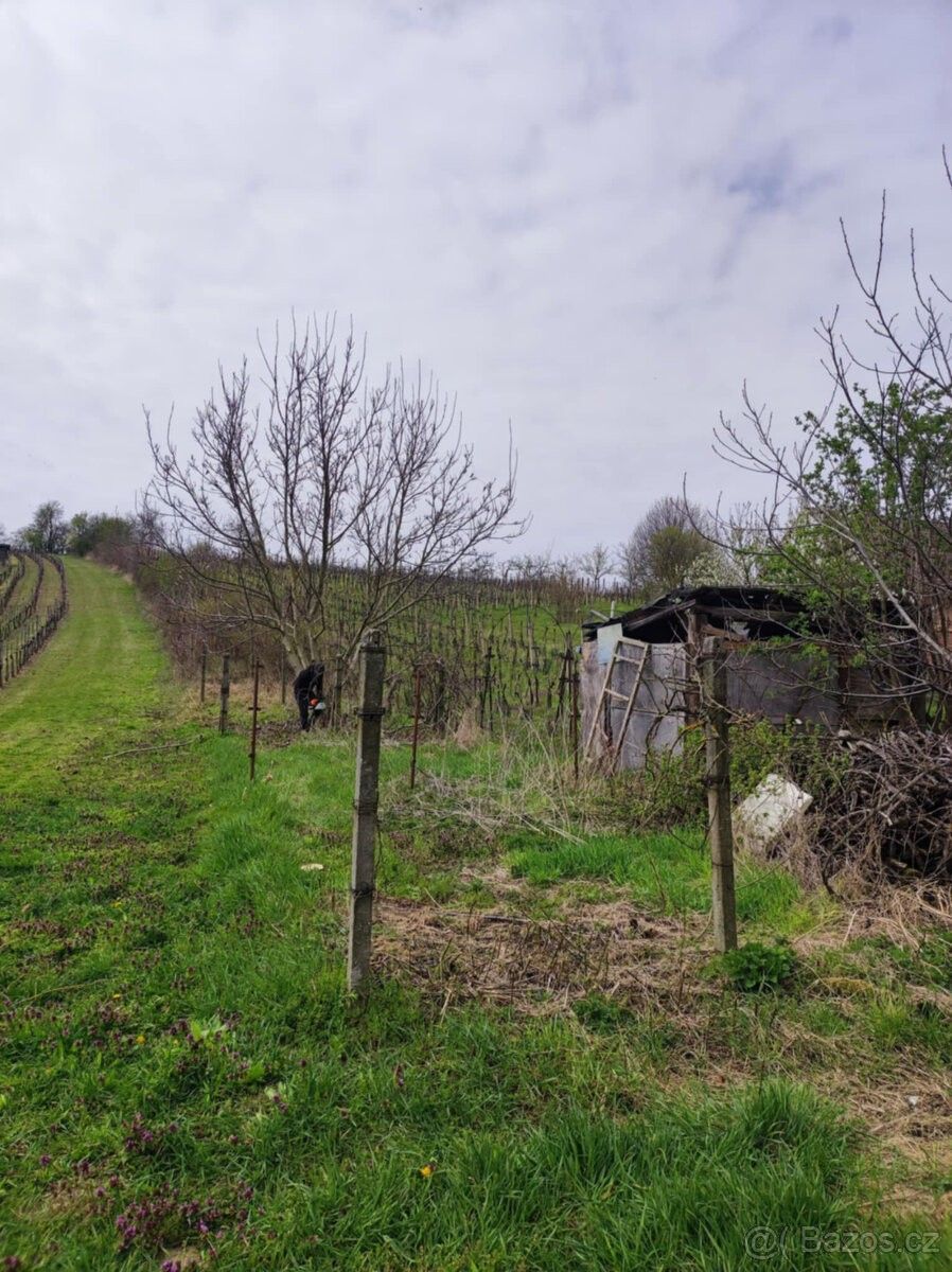 Ostatní, Mutěnice, 696 11, 1 556 m²