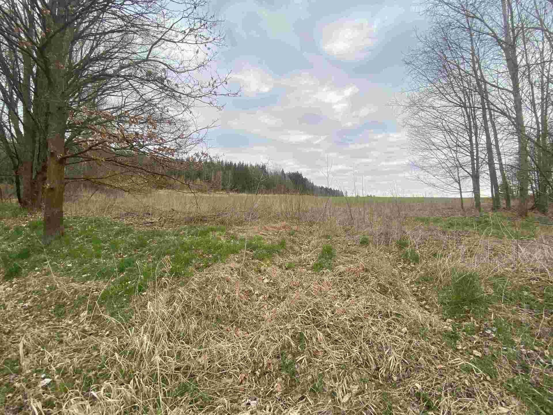 Zemědělské pozemky, Žinkovy, 33 366 m²