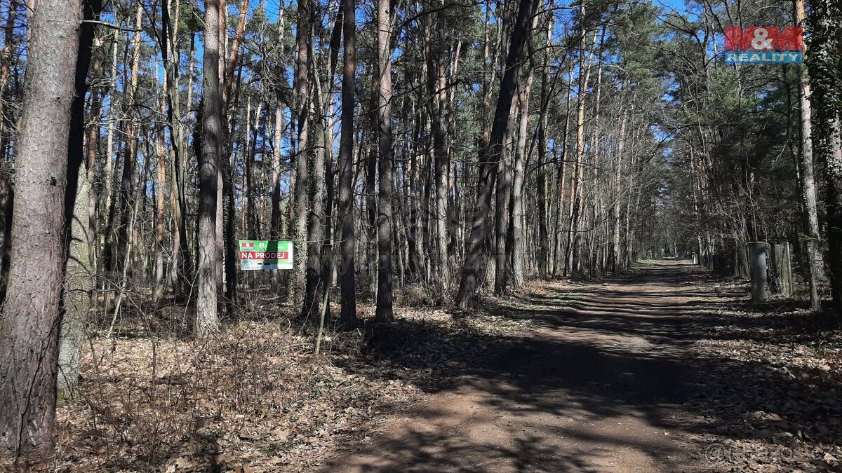 Prodej pozemek pro bydlení - Sadská, 289 12, 3 854 m²