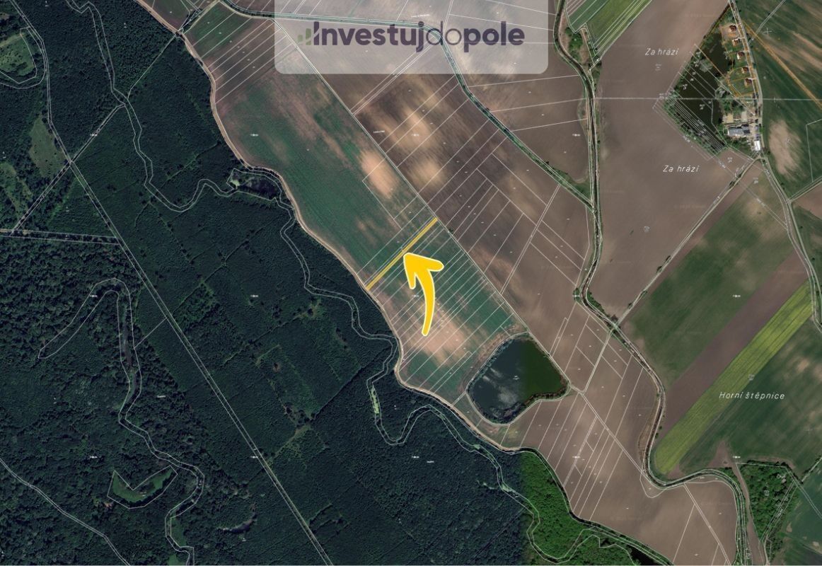 Prodej zemědělský pozemek - Kostice, 1 444 m²