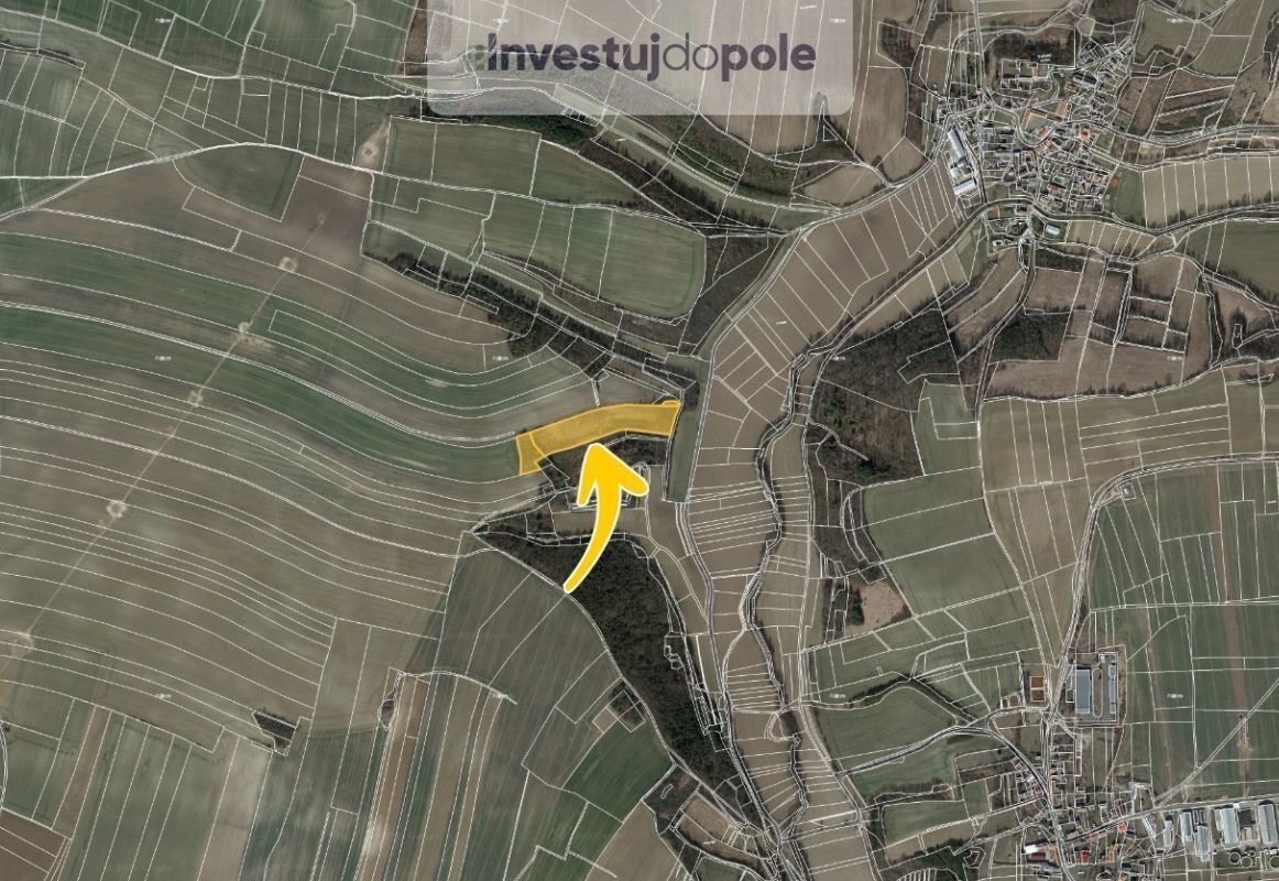 Prodej louka - Hrušovany, Polepy, 24 367 m²