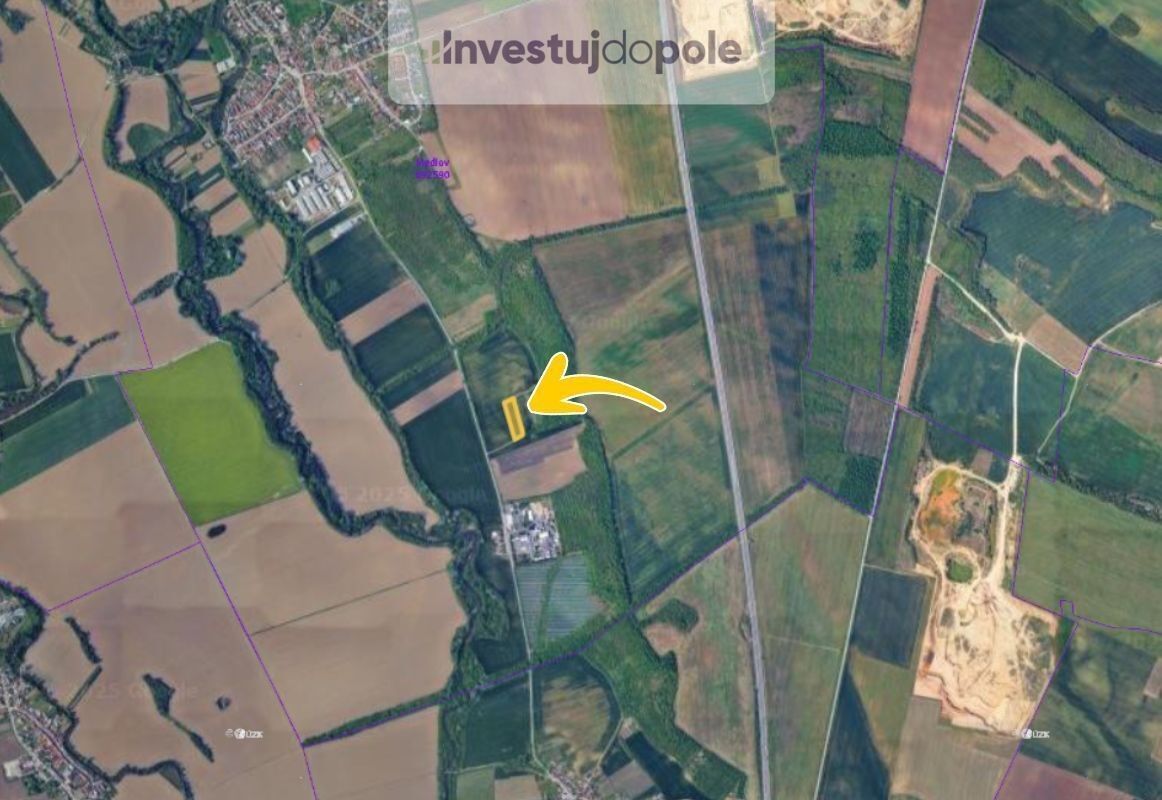 Prodej zemědělský pozemek - Medlov, 6 139 m²