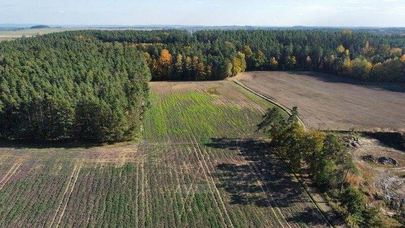 Prodej zemědělský pozemek - Veselí nad Lužnicí, 391 81, 11 484 m²