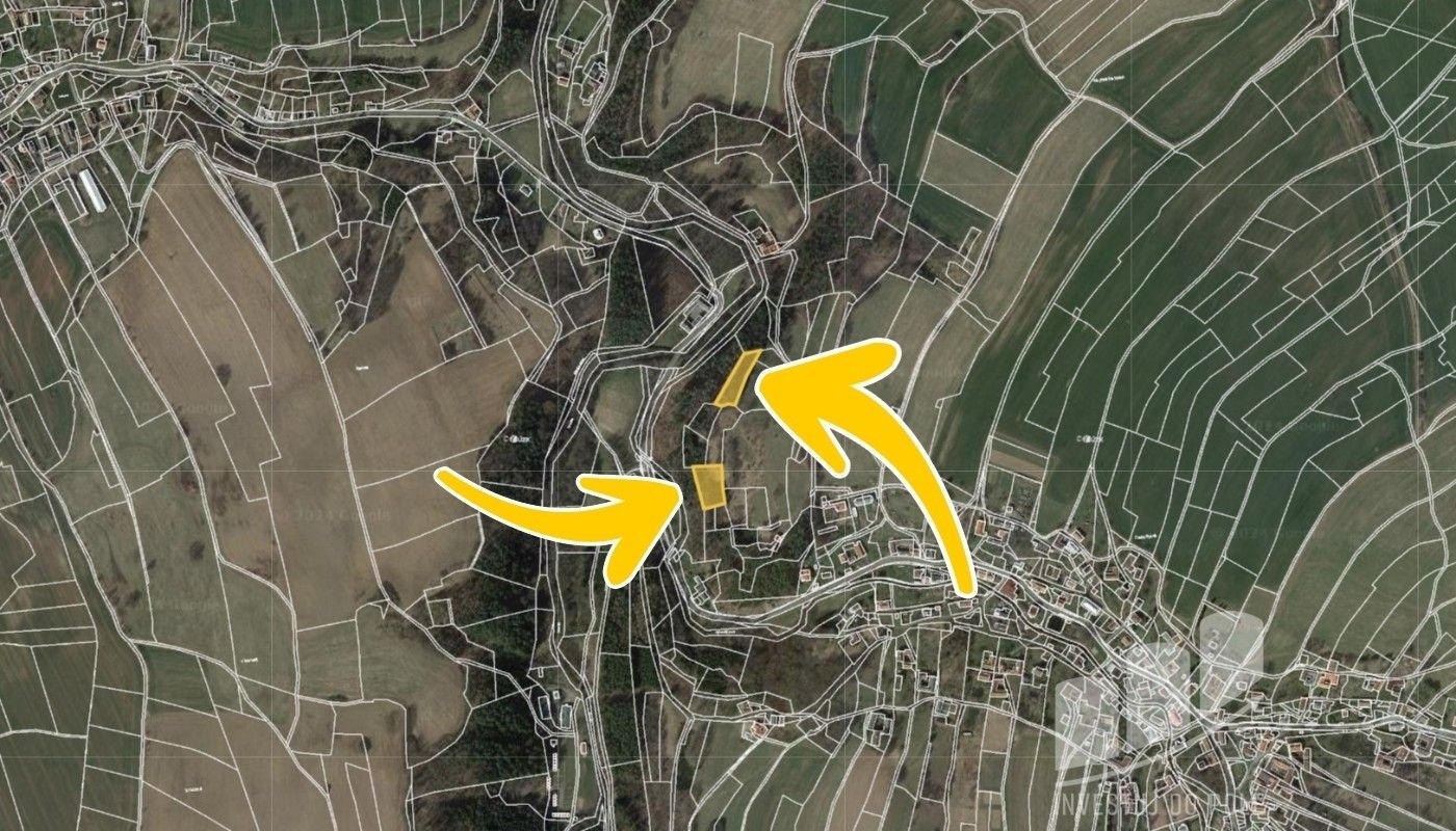 Prodej les - Česká Rybná, Proseč, 6 610 m²