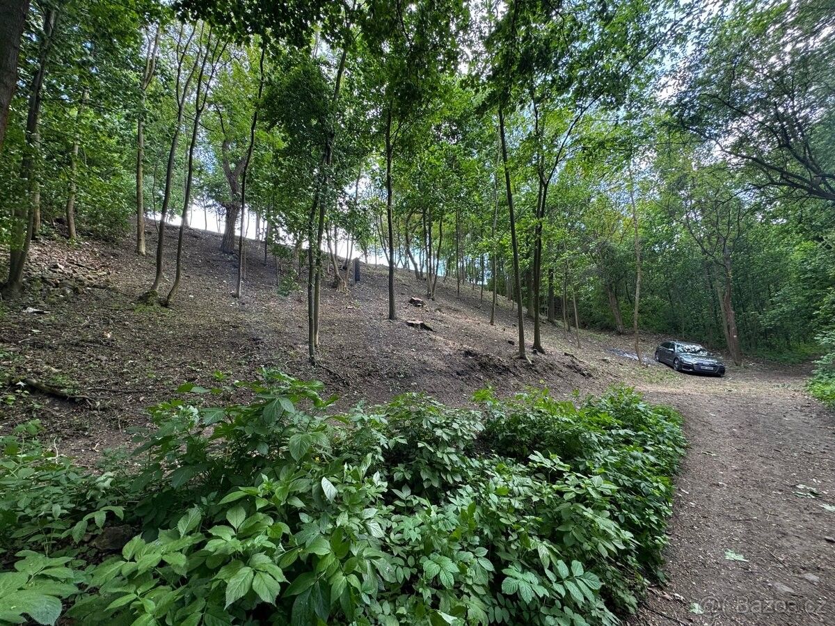 Prodej pozemek pro bydlení - Chlumčany u Loun, 439 03, 1 528 m²