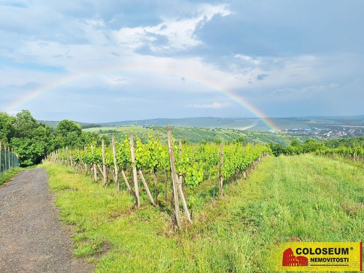 Zemědělské pozemky, Němčičky u Břeclavi, 691 07, 34 673 m²