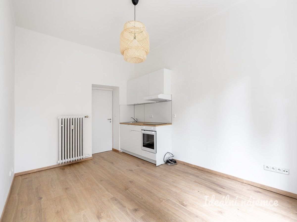 Pronájem byt 1+kk - Petrohradská, Praha, 24 m²