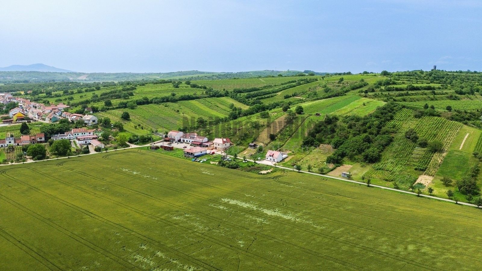 Pozemky pro bydlení, Bořetice,Bořetice, 3 395 m²