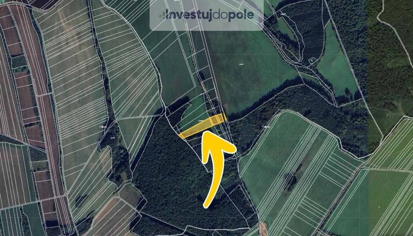 Prodej louka - Nezdenice, 2 745 m²