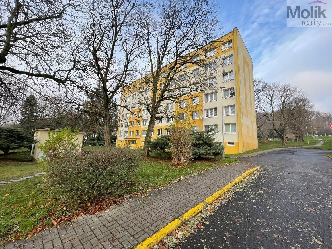1+kk, Tylova, Litvínov, 27 m²