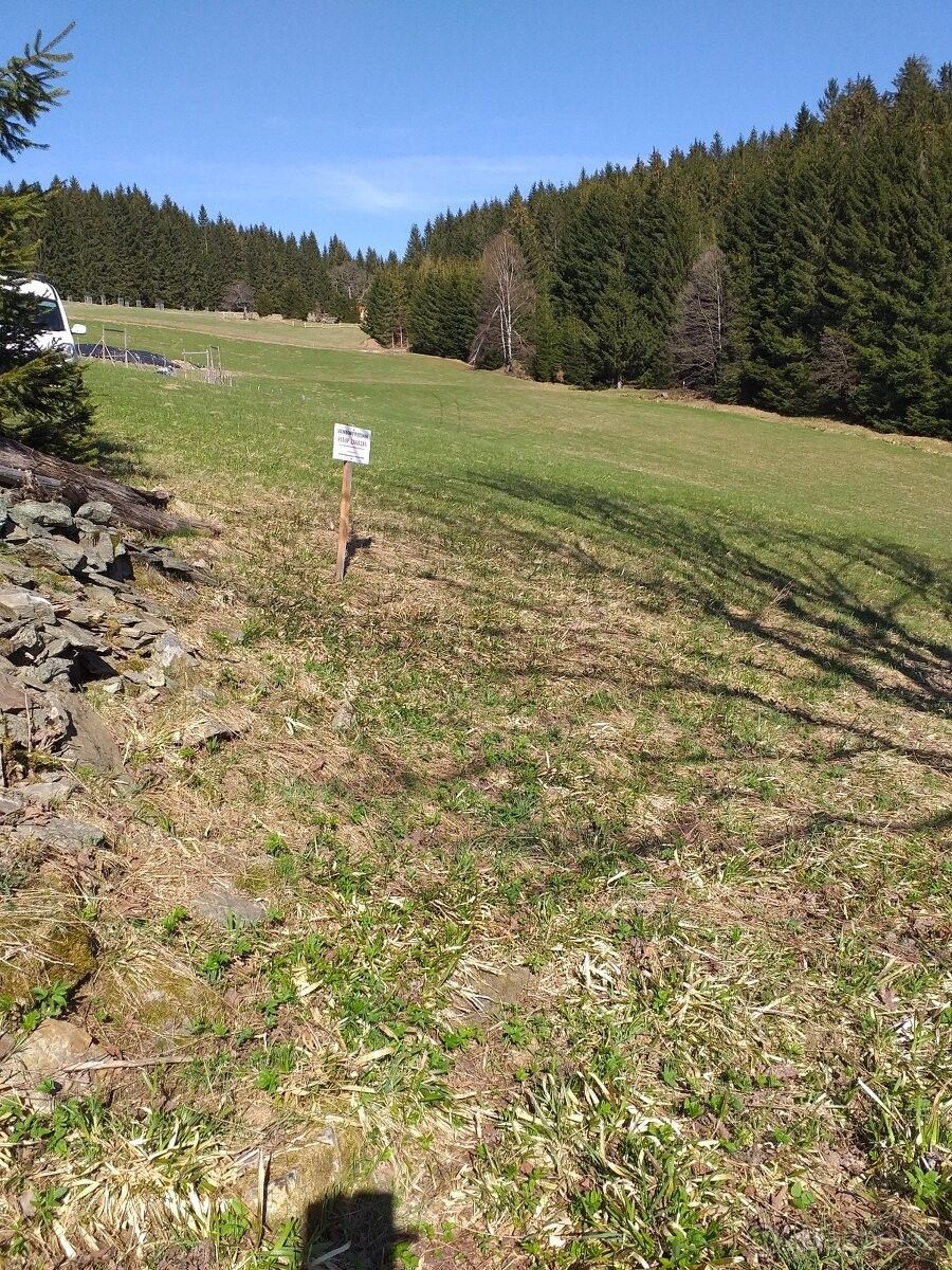 Ostatní, Staré Město pod Sněžníkem, 788 32, 11 321 m²