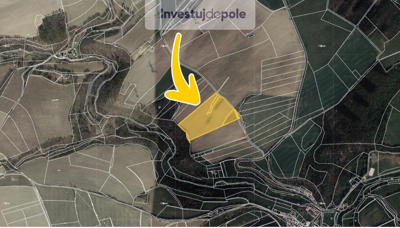 Prodej zemědělský pozemek - Malá Lečice, Bojanovice, 35 683 m²