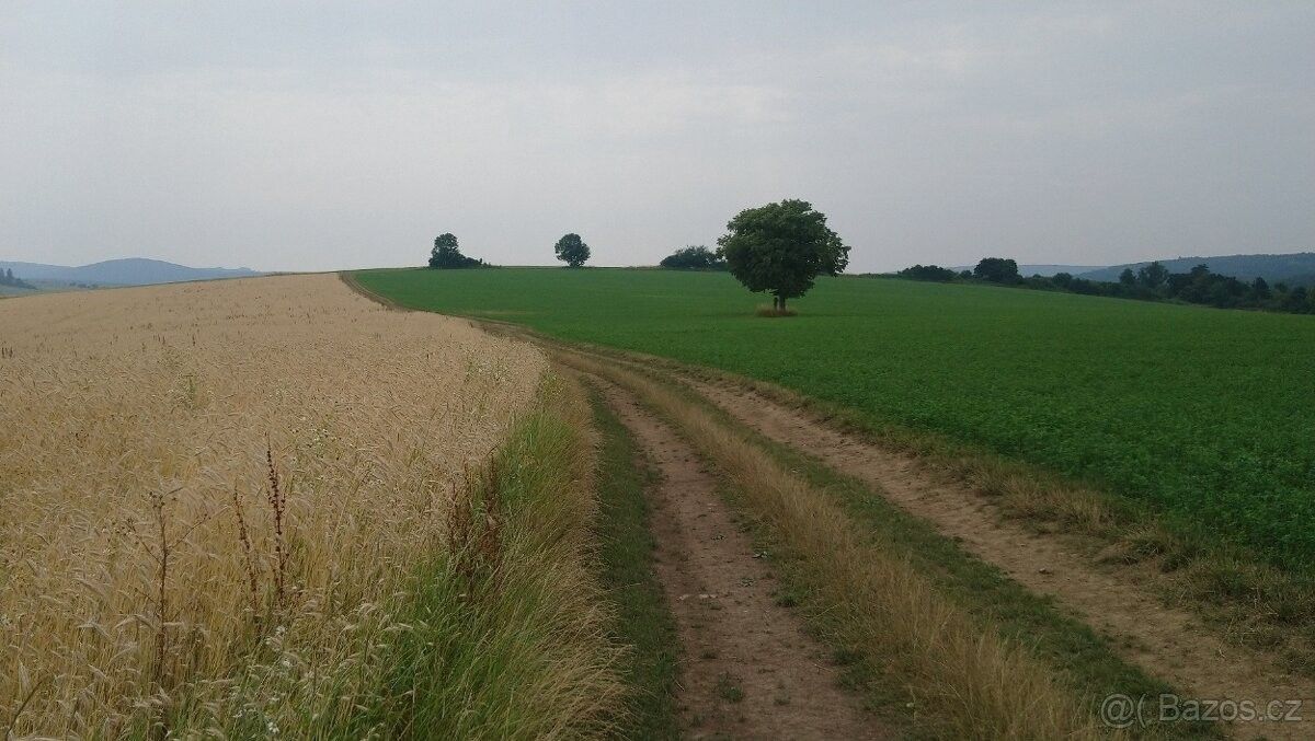 Ostatní, Bojkovice, 687 71, 6 719 m²