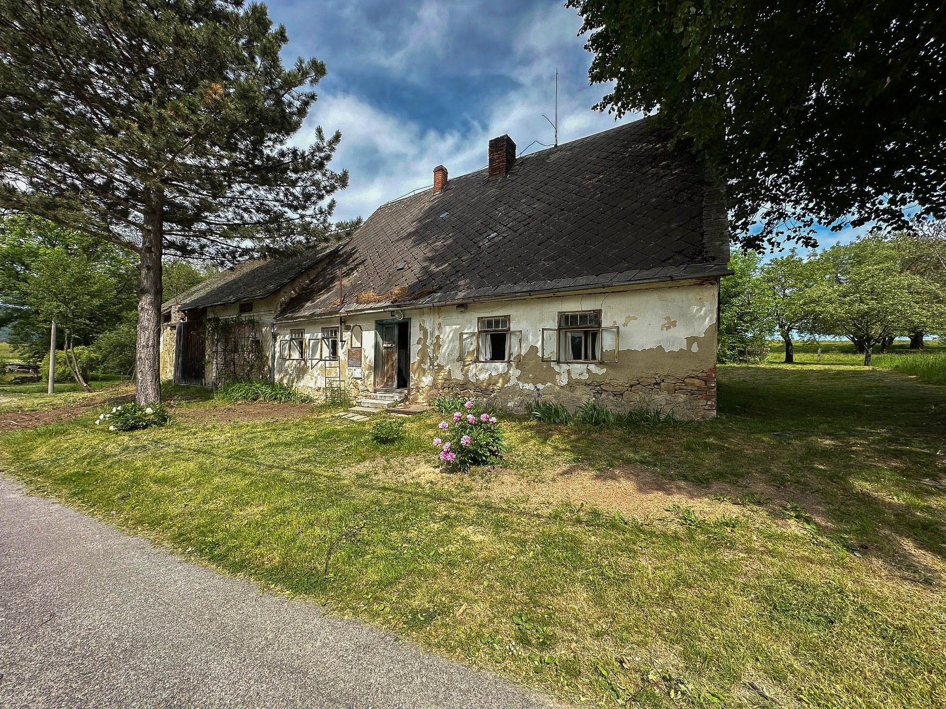 Ostatní, Dolní Les, Vlčice, 150 m²
