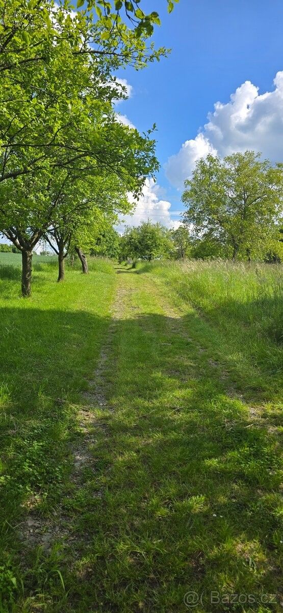 Zahrady, Lipník nad Bečvou, 751 31, 2 200 m²