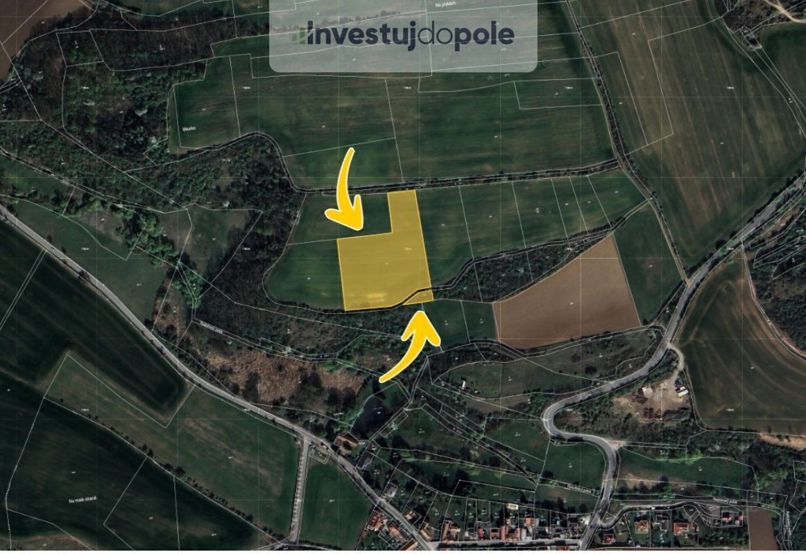 Prodej zemědělský pozemek - Dobříč, 2 430 m²