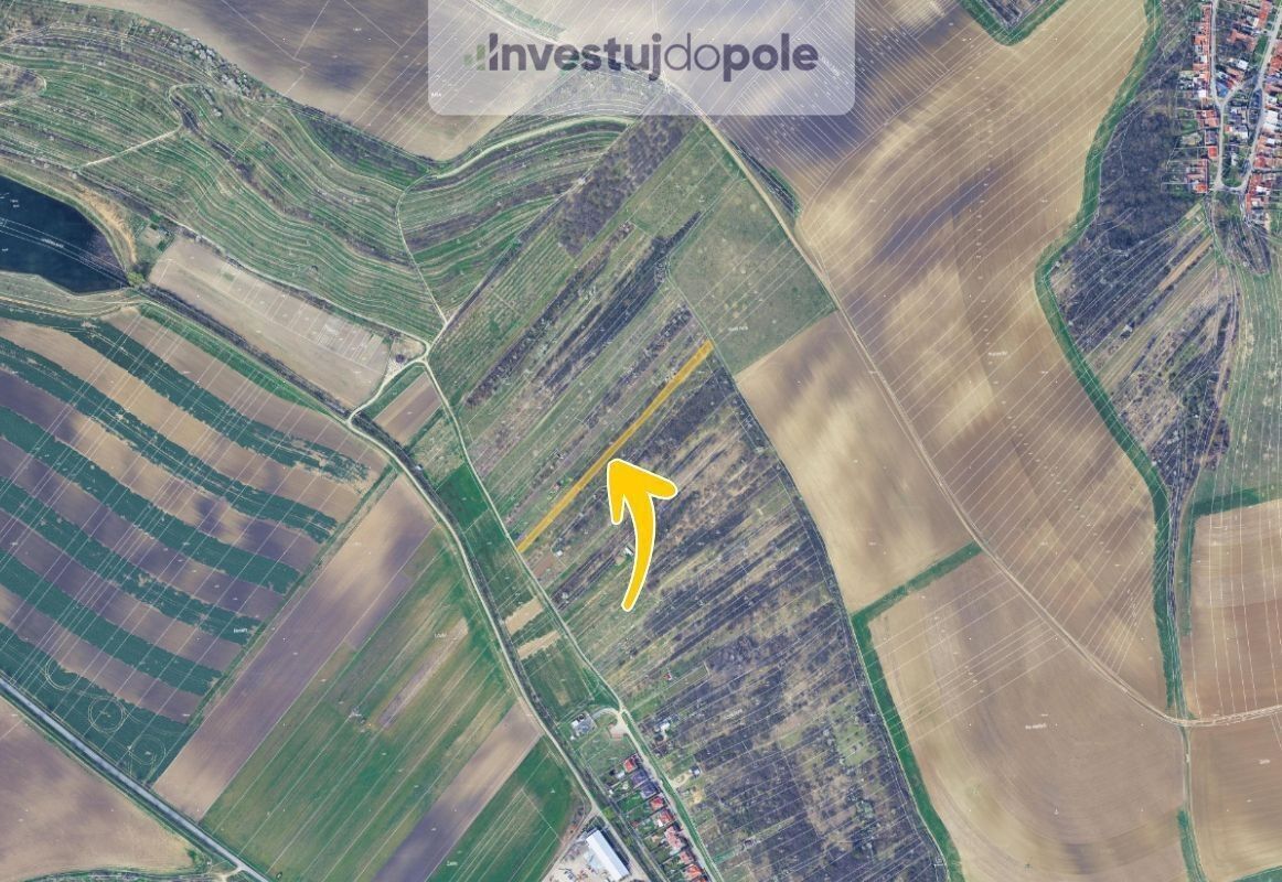 Prodej pozemek - Lovčičky, 2 359 m²