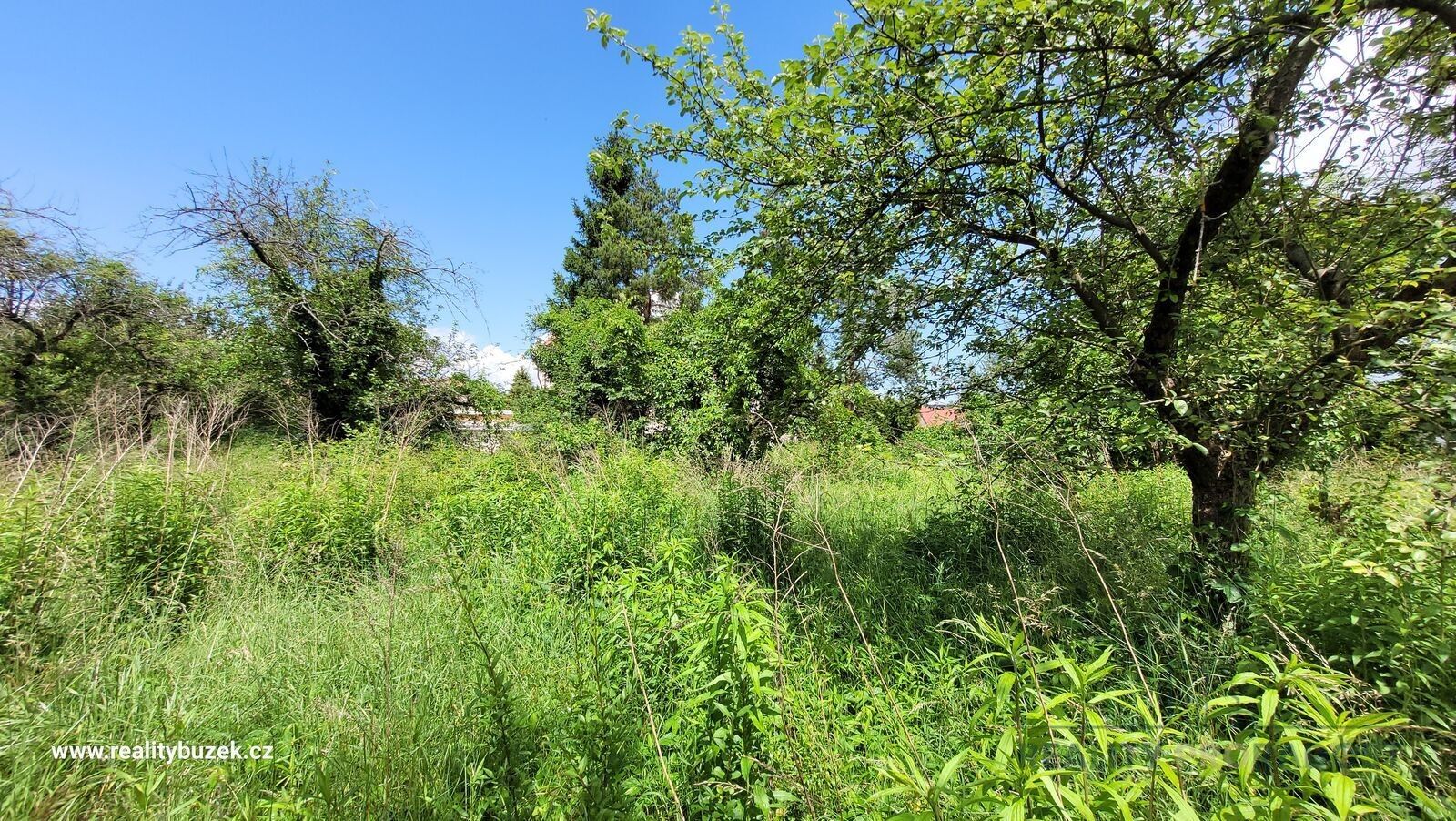 Zahrady, Kloboučky, Bučovice, 363 m²