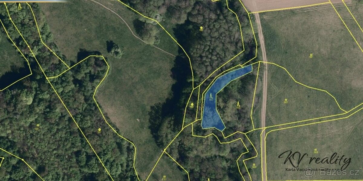 Prodej les - Velký Ořechov, 763 07, 3 317 m²