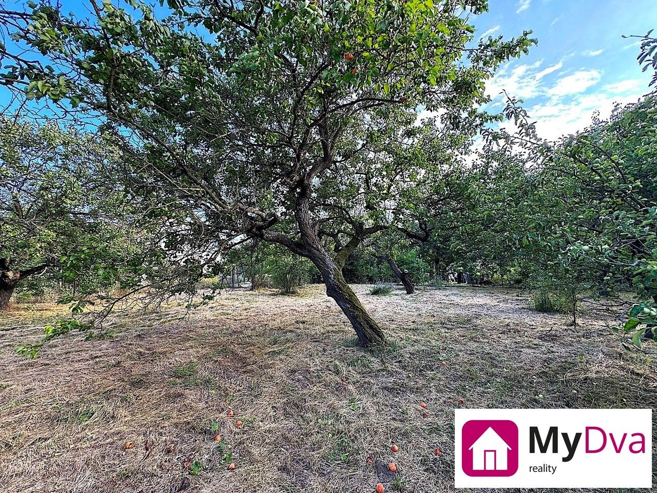 Pozemky pro bydlení, Znojmo, 1 465 m²