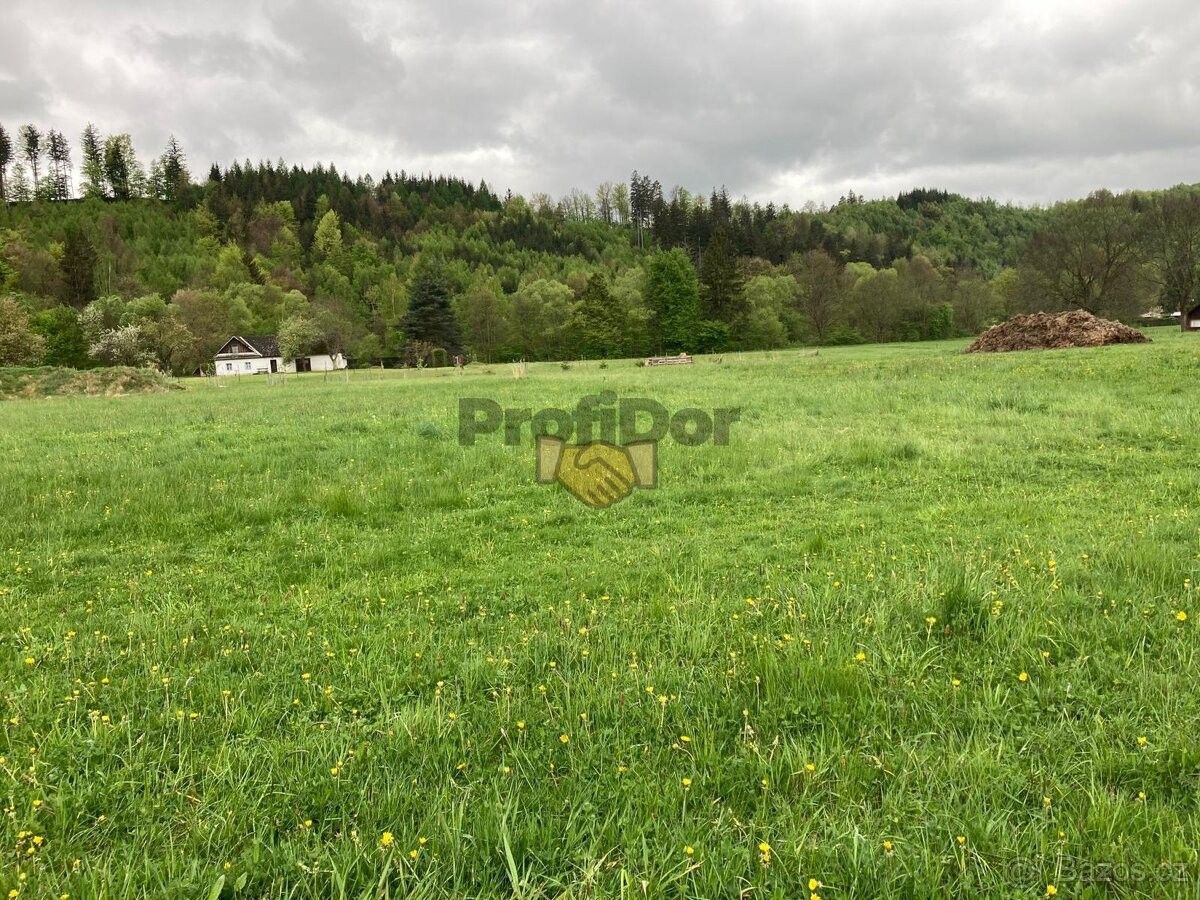 Prodej pozemek pro bydlení - Dolní Bečva, 756 55, 3 092 m²