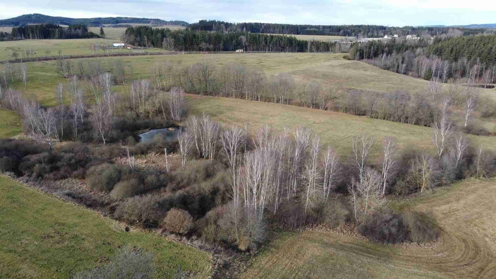 Ostatní, Trojany, Dolní Dvořiště, 18 915 m²