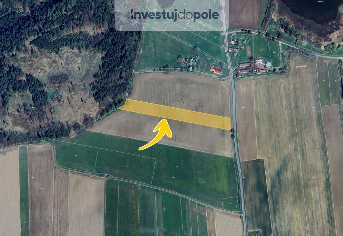 Prodej zemědělský pozemek - Údraž, Albrechtice nad Vltavou, 10 056 m²