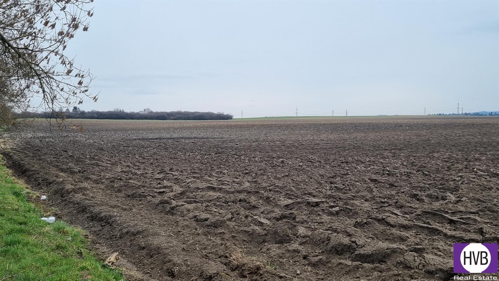 Prodej zemědělský pozemek - Číčovice, 14 648 m²