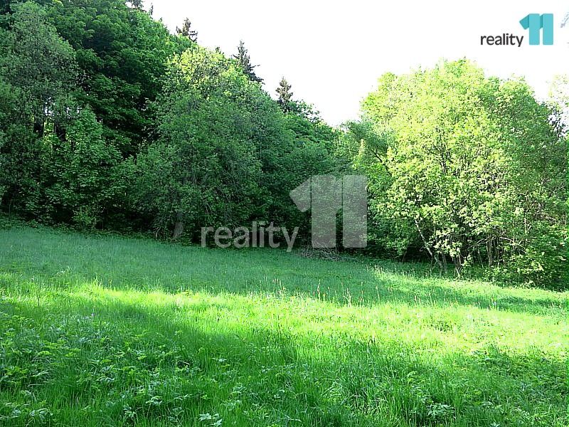 Prodej rodinný dům - Světlá pod Ještědem, 176 m²