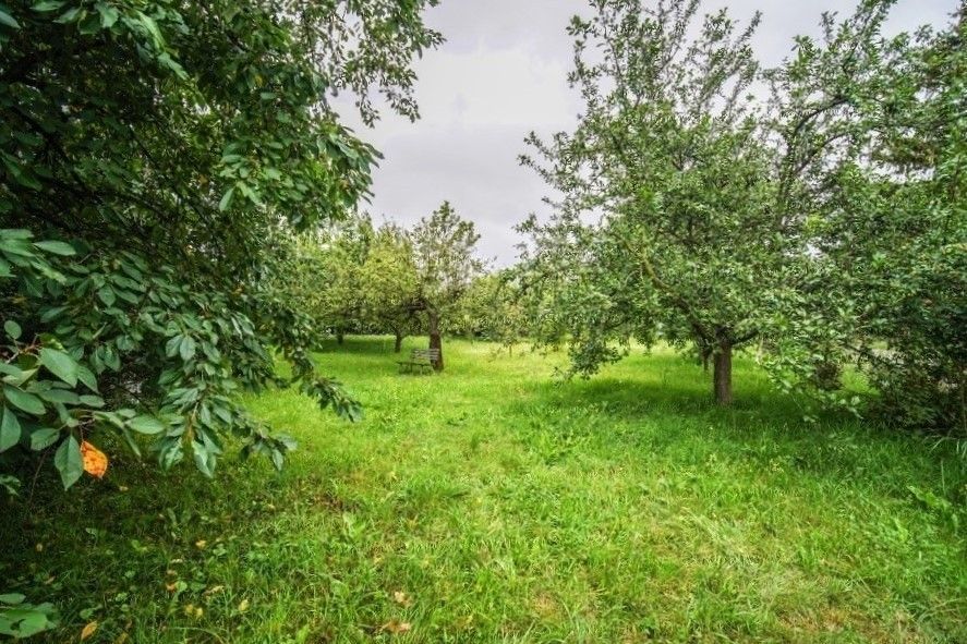Prodej pozemek pro bydlení - Kolín, 280 02, 827 m²