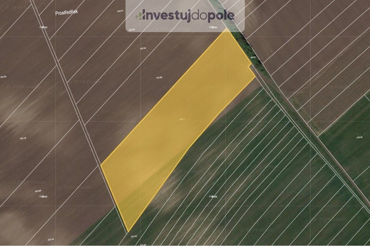 Zemědělské pozemky, Nový Poddvorov, 11 711 m²