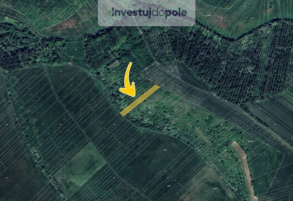 Prodej louka - Velké Němčice, 2 897 m²