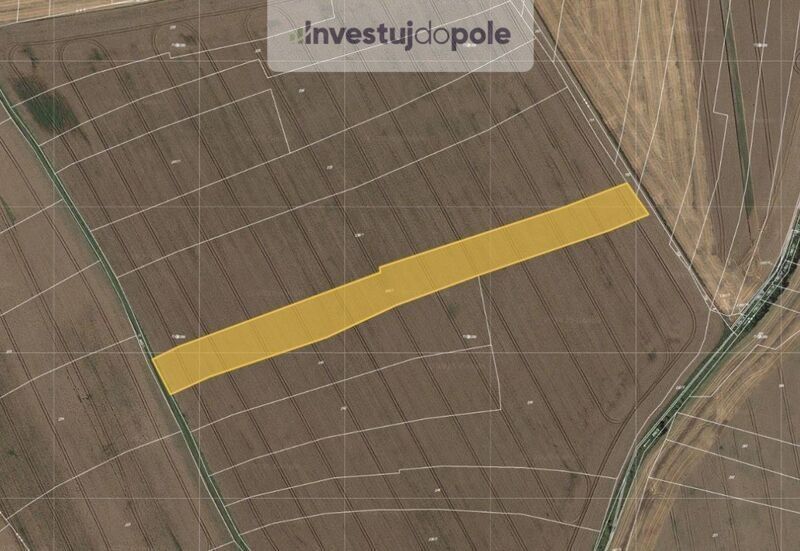 Zemědělské pozemky, Dobrovice, 294 41, 8 988 m²