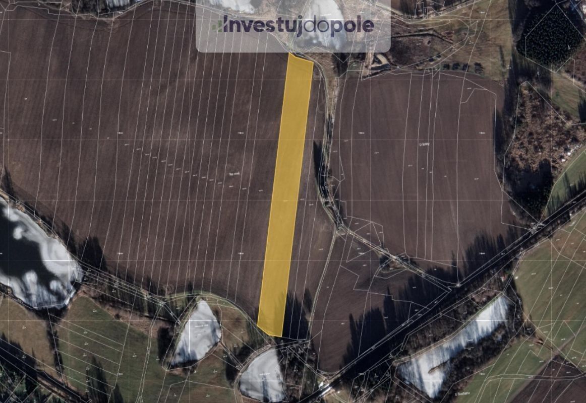 Zemědělské pozemky, Prostý, Počátky, 45 266 m²