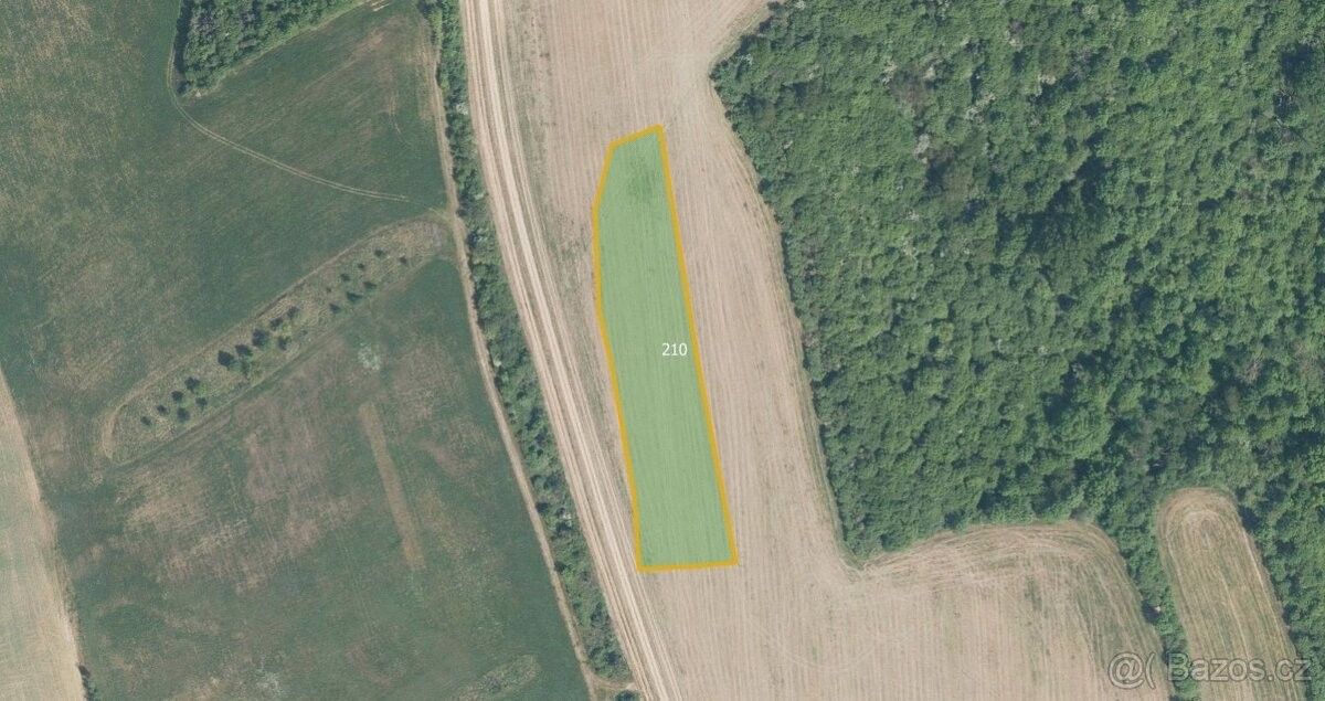 Ostatní, Babice u Uherského Hradiště, 687 03