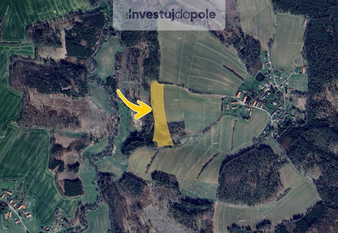 Prodej zemědělský pozemek - Onšovice, Radošovice, 17 689 m²