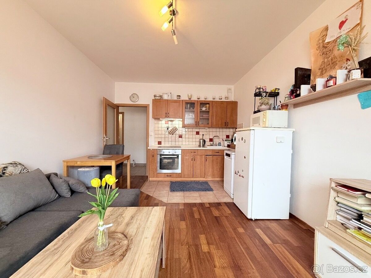 Prodej byt 2+kk - Mladá Boleslav, 293 01, 48 m²