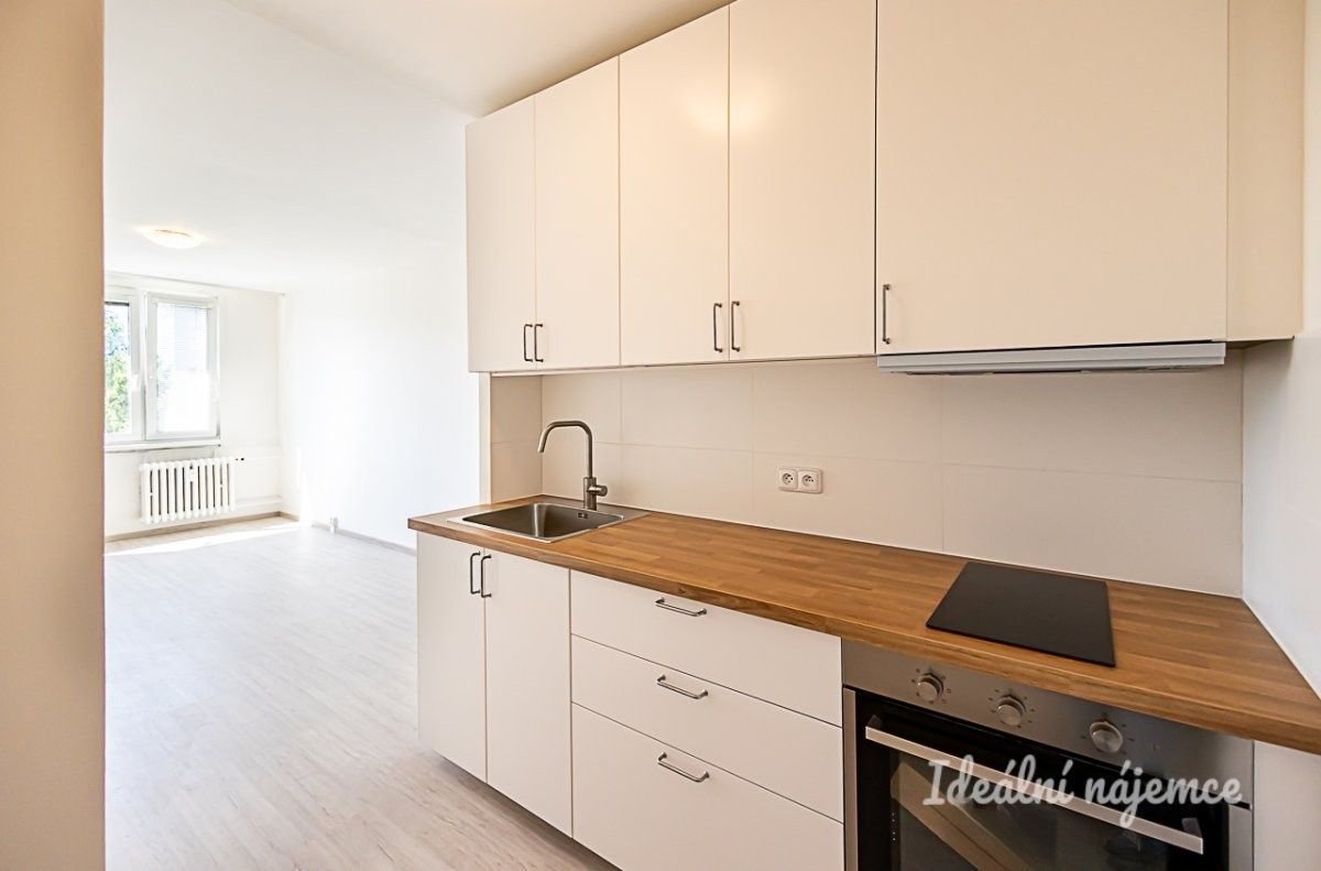 2+kk, Štichova, Praha, 42 m²