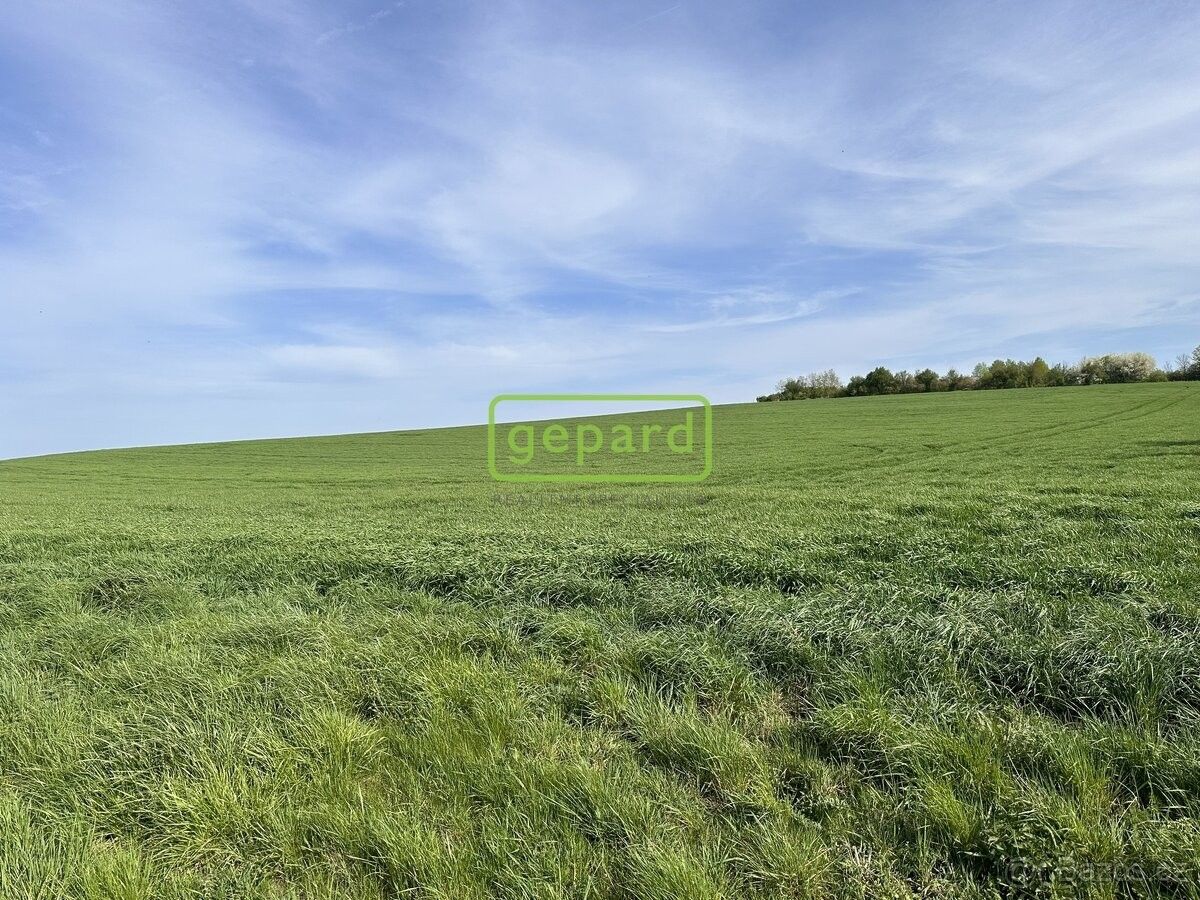 Prodej zahrada - Brno, 620 00, 5 446 m²