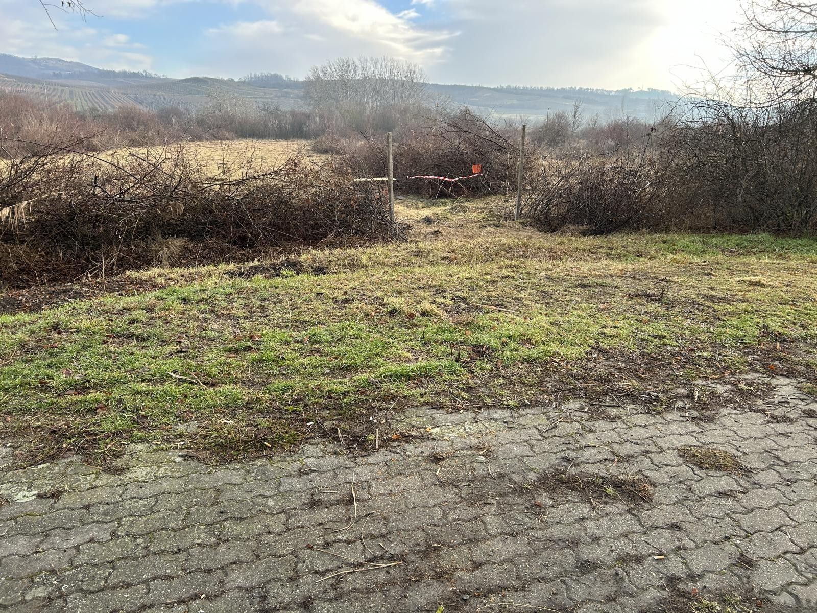 Zemědělské pozemky, Bavory, 4 009 m²