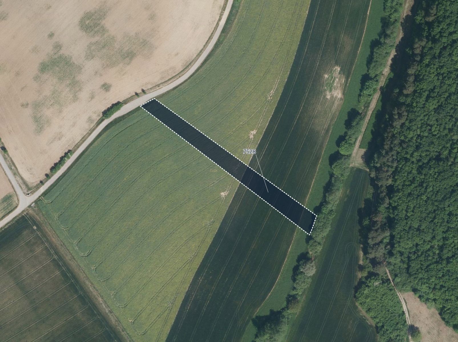 Zemědělské pozemky, Lovčice, 5 984 m²
