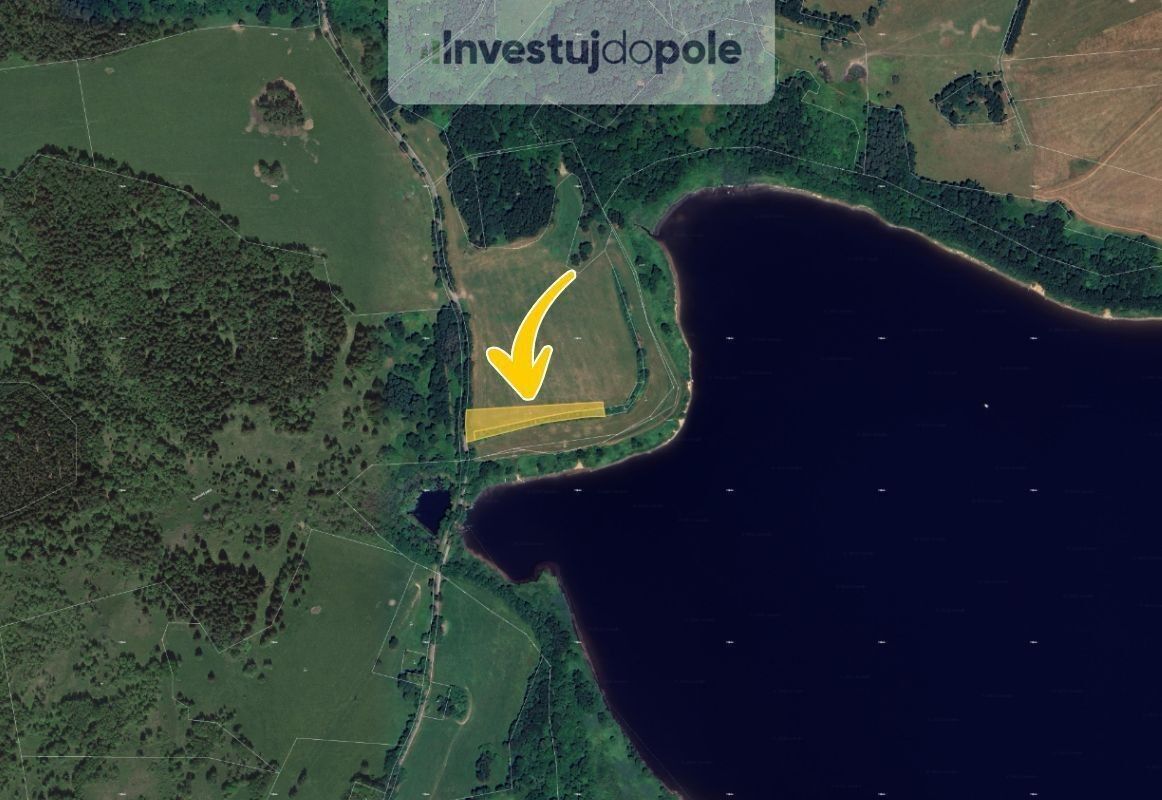 Prodej louka - Bližší Lhota, Horní Planá, 5 001 m²