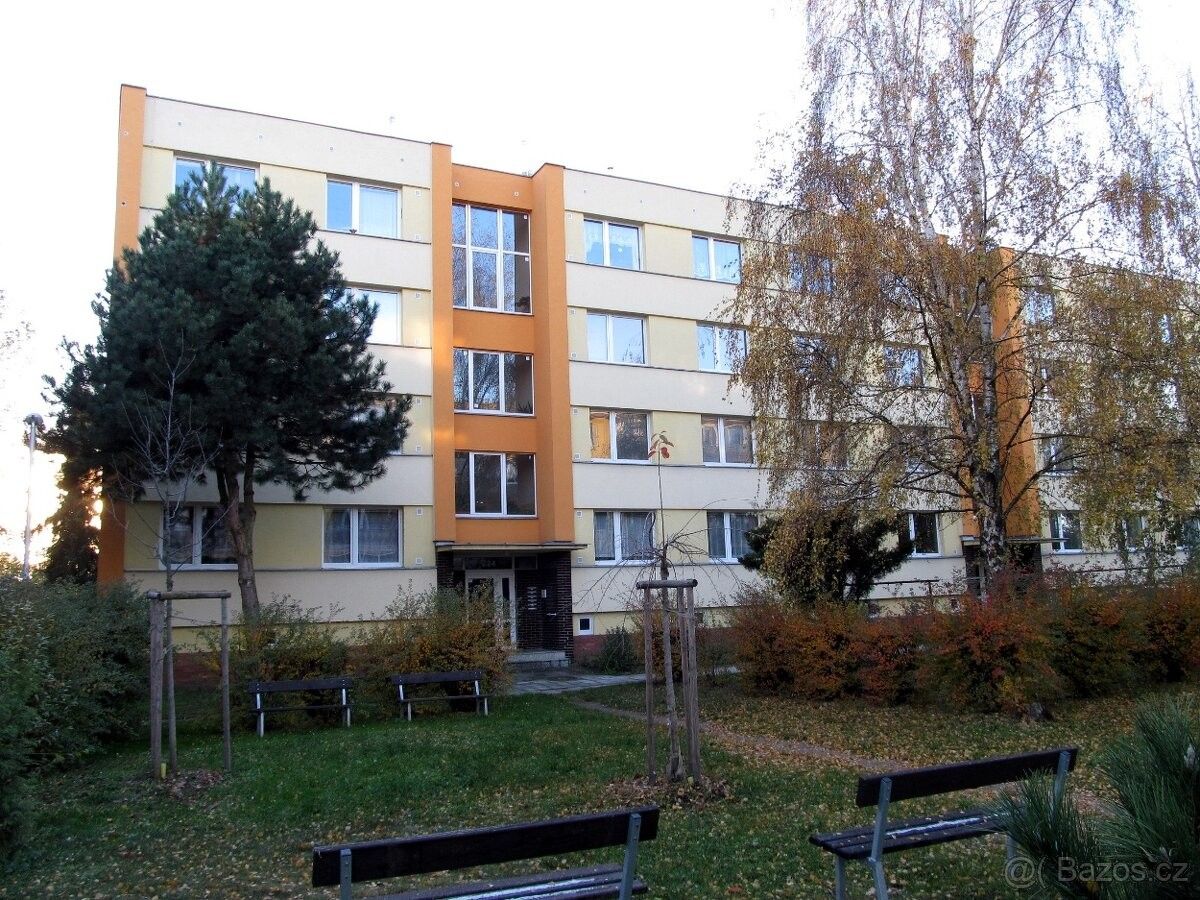 1+1, Hradec Králové, 503 41, 36 m²