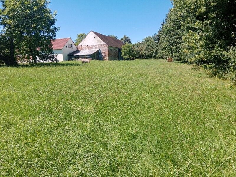 Prodej pozemek pro bydlení - Dubné, 373 84, 2 325 m²