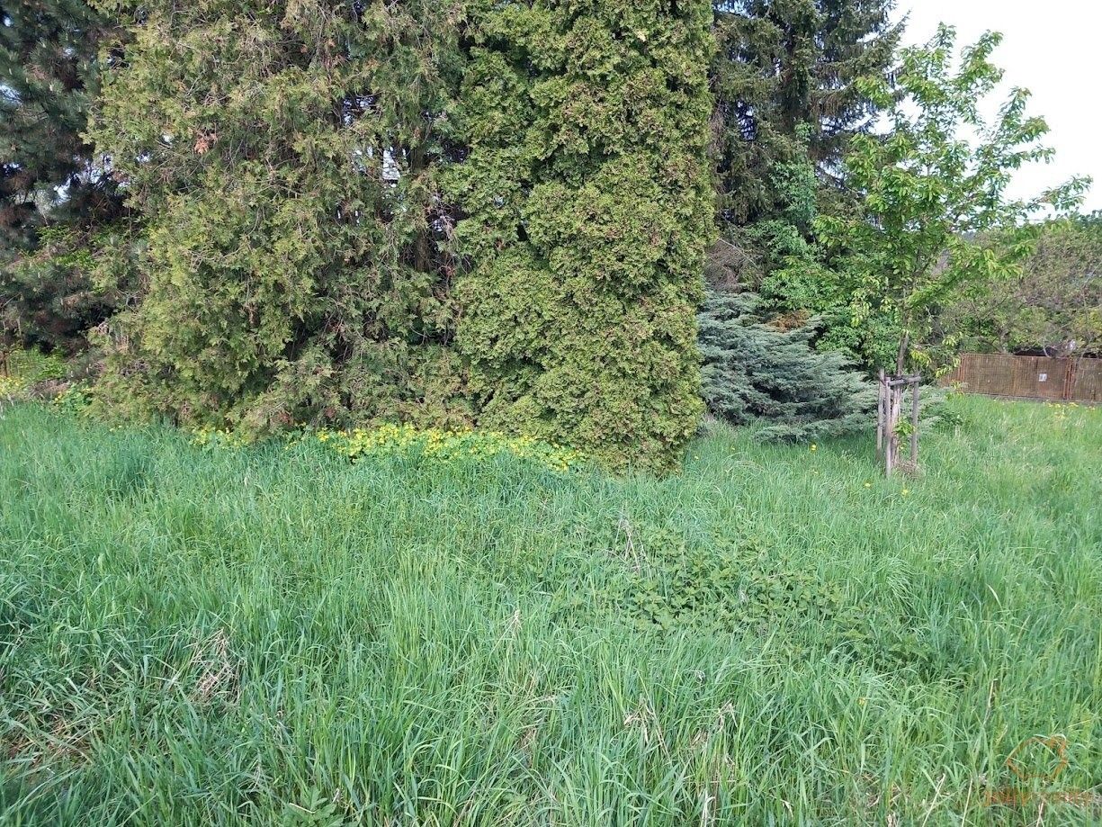 Pozemky pro bydlení, Těchov, Blansko, 308 m²