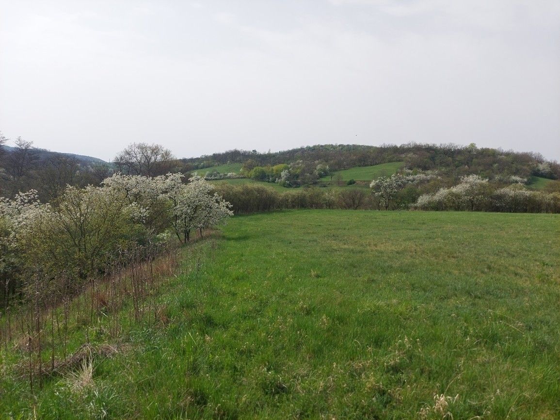 Prodej pozemek pro bydlení - Teplice, 415 01, 1 456 m²